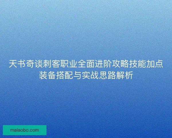 天书奇谈刺客职业全面进阶攻略技能加点装备搭配与实战思路解析