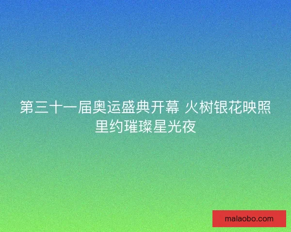 第三十一届奥运盛典开幕 火树银花映照里约璀璨星光夜