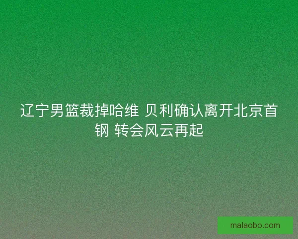 辽宁男篮裁掉哈维 贝利确认离开北京首钢 转会风云再起